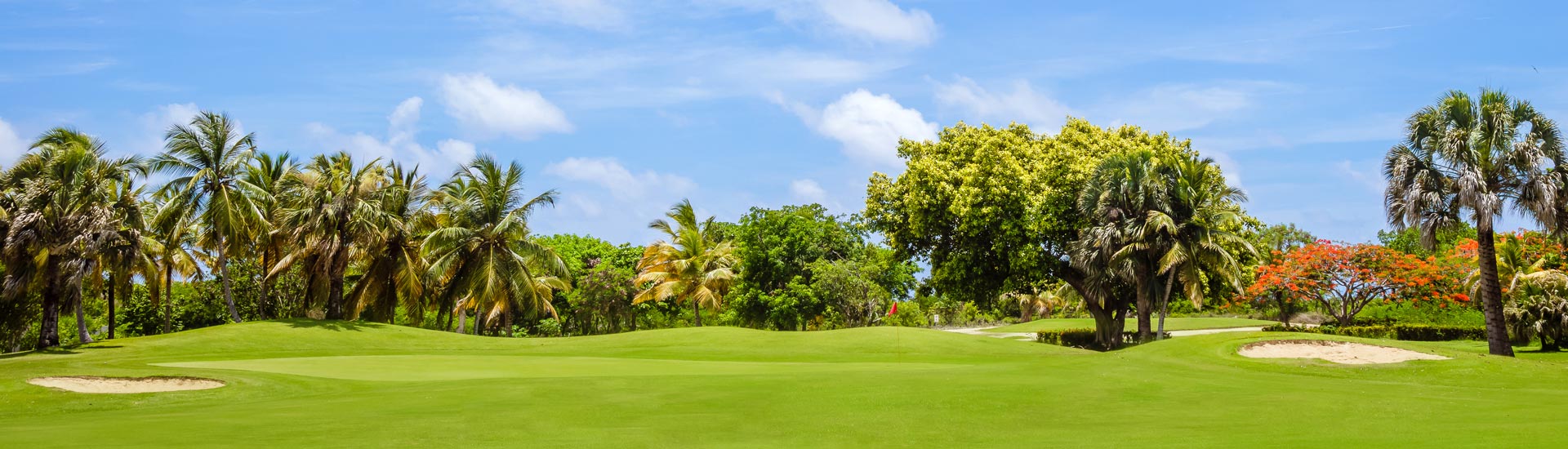 Cocotal Golf - Website