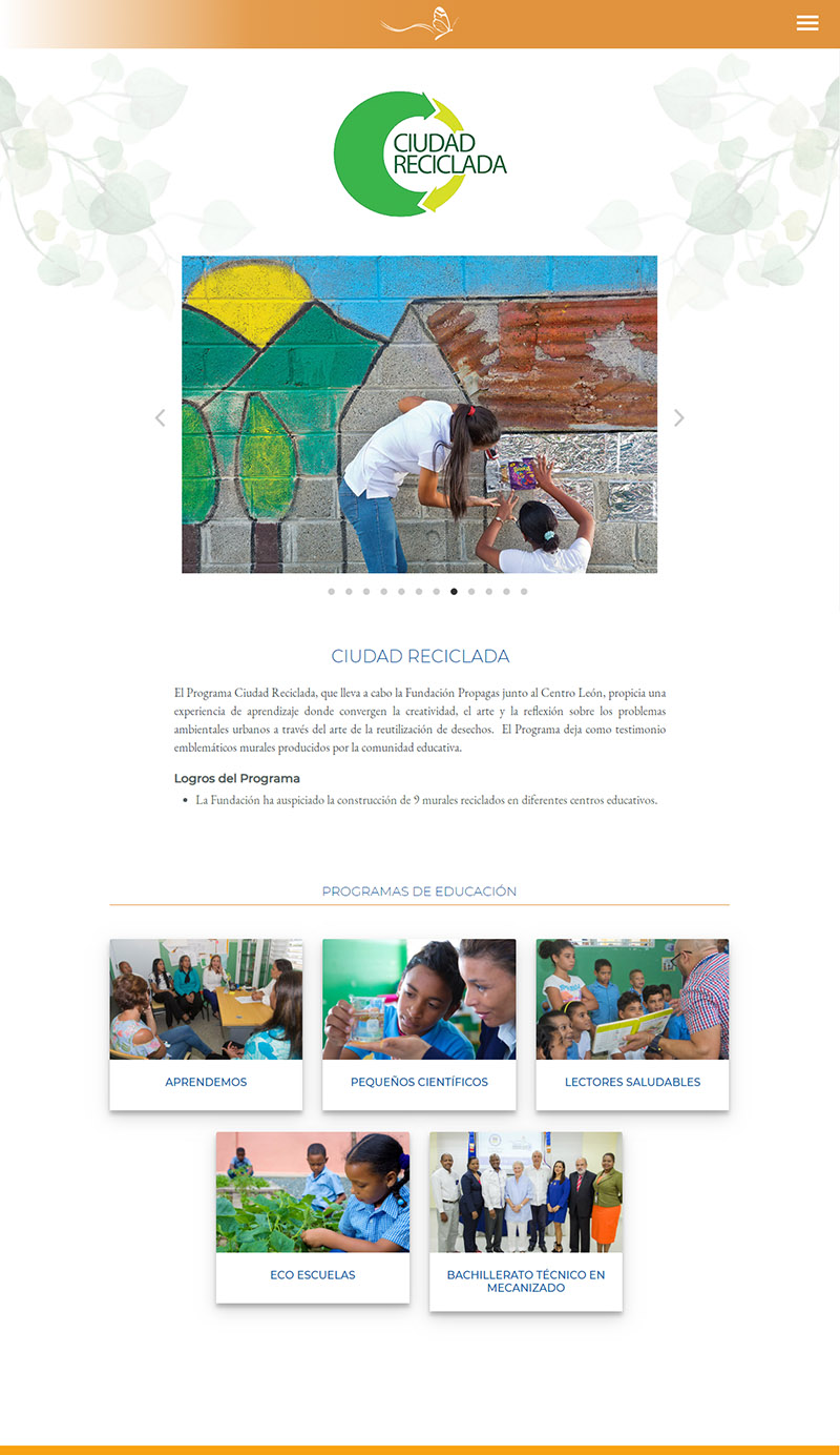 Diseño de Website Fundación Propagas