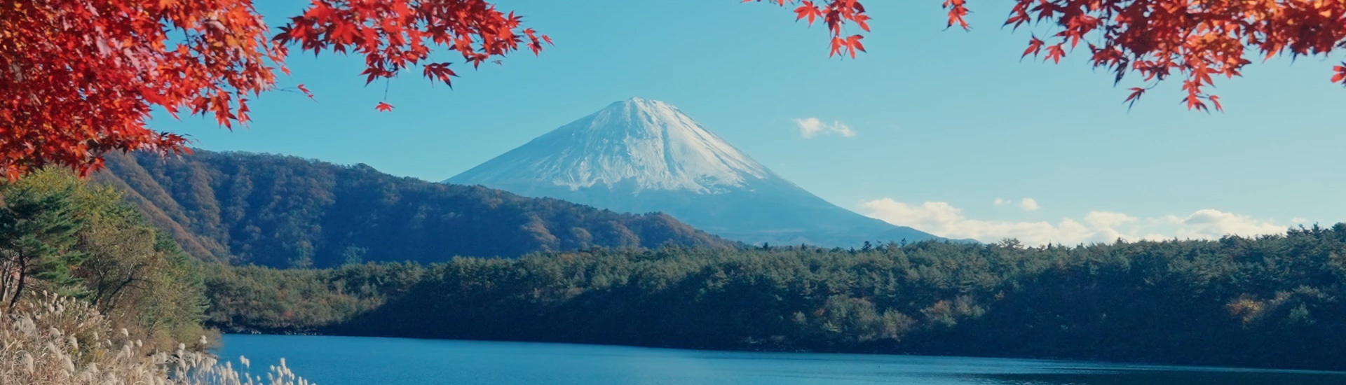 Banco López de Haro - Website diseñado por Grupo Interactivo